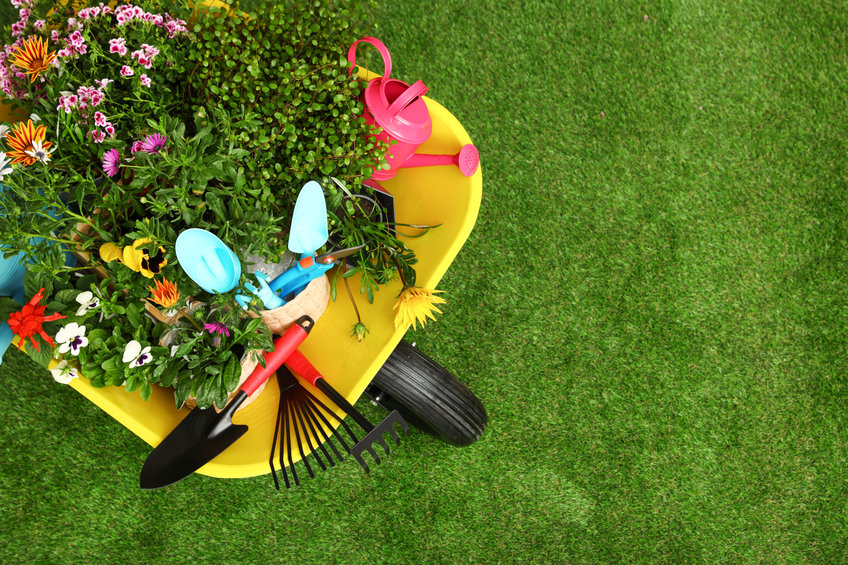 Tips for Cleaning Your Yard for Spring